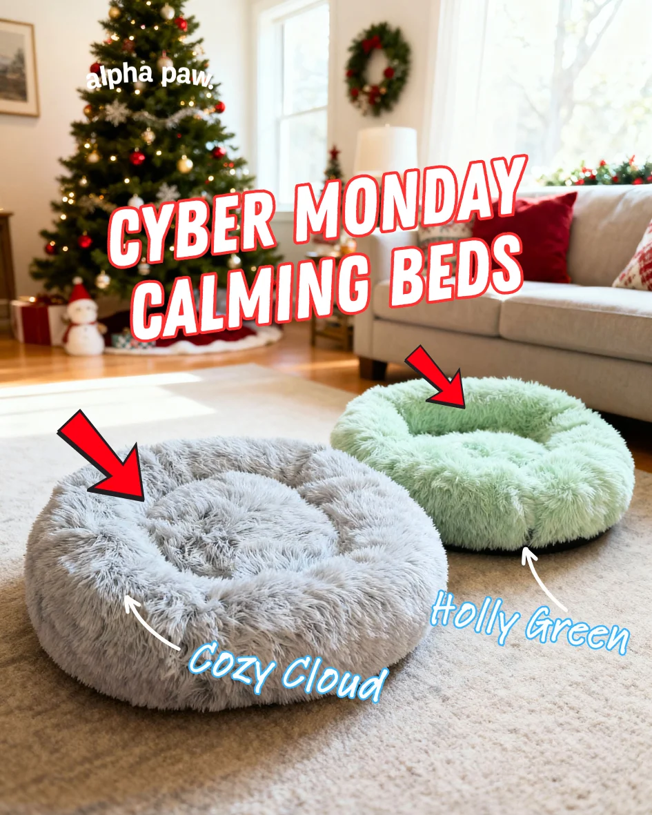 Cozy Bed