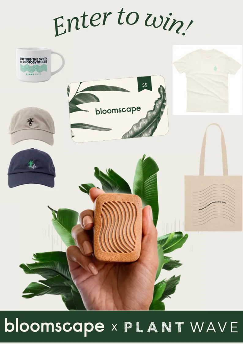 win a gift card, plantwave, tshirt, hat, tote bag, and mug