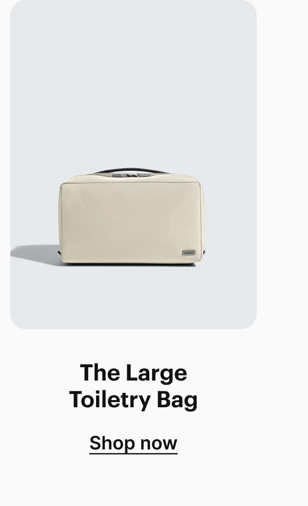 The Large Toiletry Bag