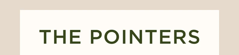 The Pointers