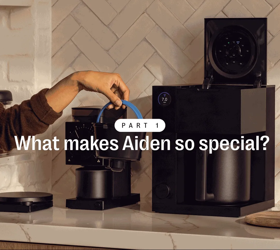 Part 1: What makes Aiden so special?