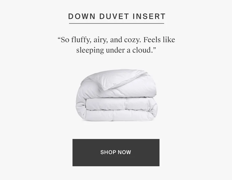 Shop Down Duvet Insert