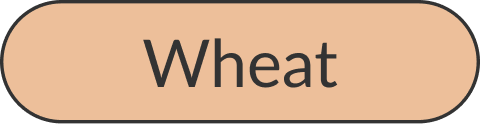 Wheat