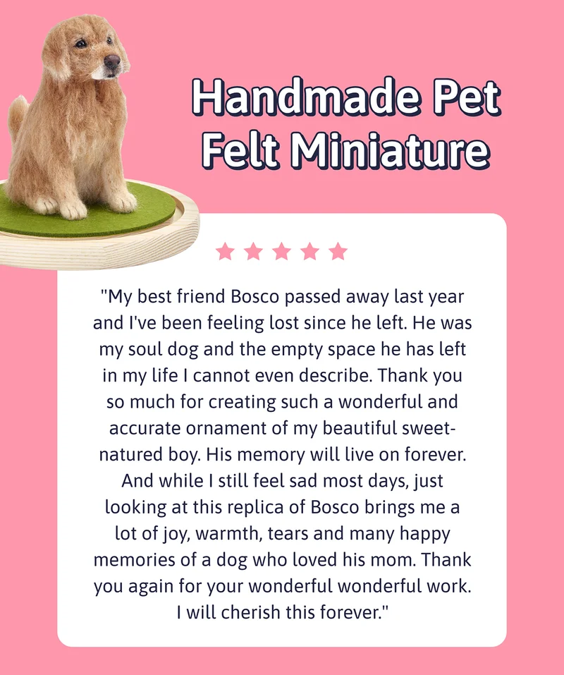 Handmade Pet Felt Miniature - "My best friend Bosco passed away last year and I've been feeling lost since he left. He was my soul dog and the empty space he has left in my life I cannot even describe. Thank you so much for creating such a wonderful and accurate ornament of my beautiful sweet-natured boy. His memory will live on forever. And while I still feel sad most days, just looking at this replica of Bosco brings me a lot of joy, warmth, tears and many happy memories of a dog who loved his mom. Thank you again for your wonderful wonderful work. I will cherish this forever."