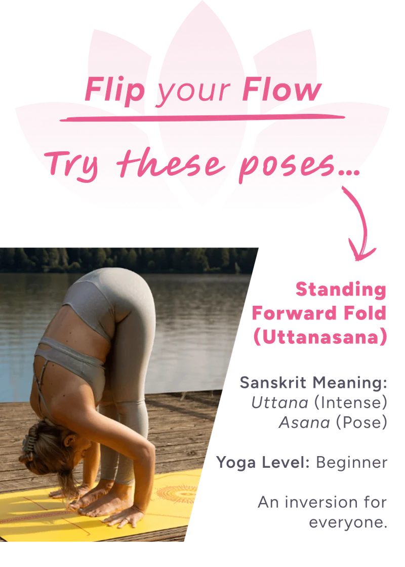 Standing Forward Fold