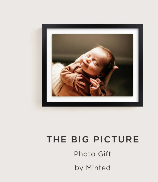 The Big Picture