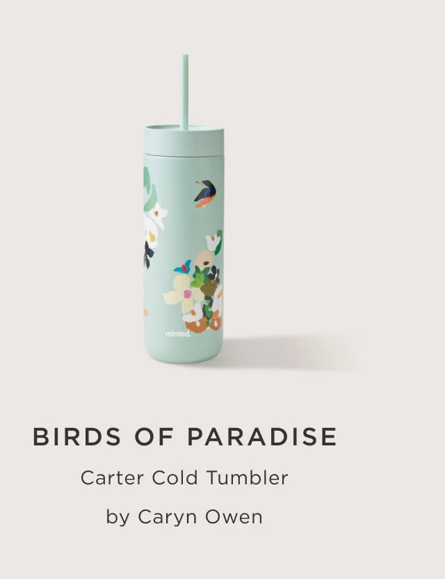 Birds of Paradise