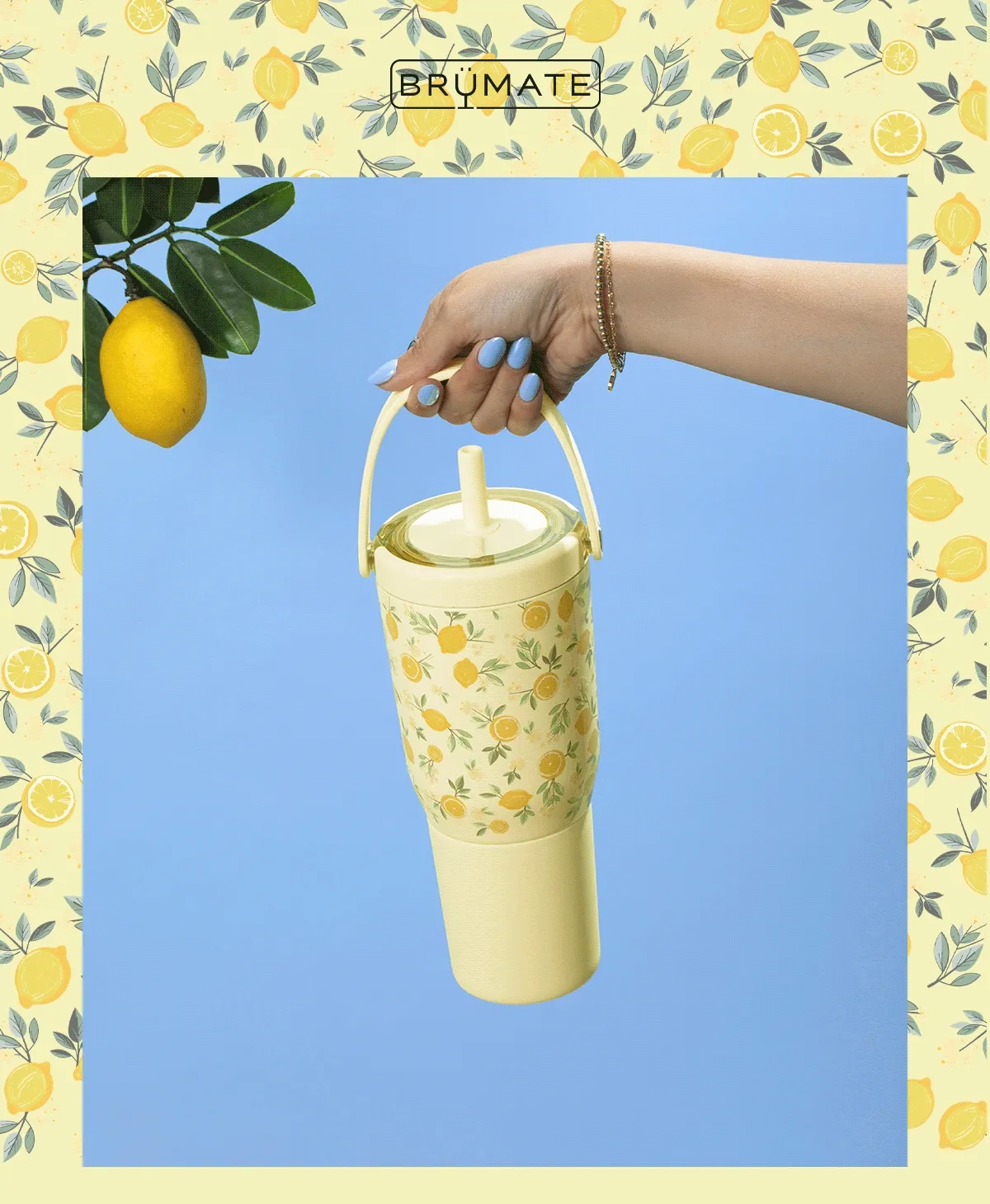 Limoncello Images
