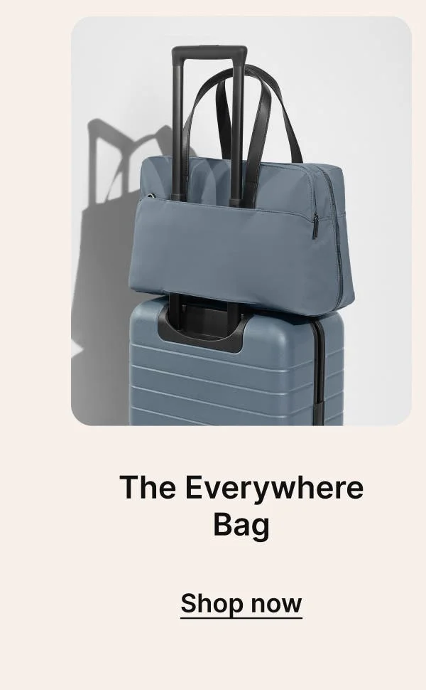 THE EVERYWHERE BAG