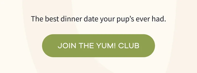 The best dinner date your pup’s ever had. | JOIN THE YUM! CLUB