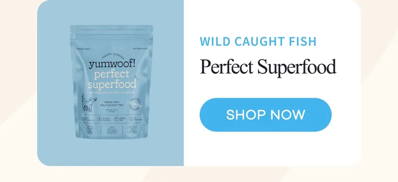 Wild Caught Fish | Perfect Superfood | shop now