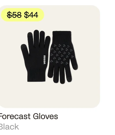 Forecast Gloves
