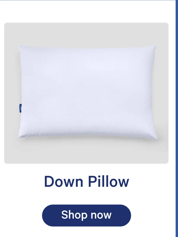 Down Pillow