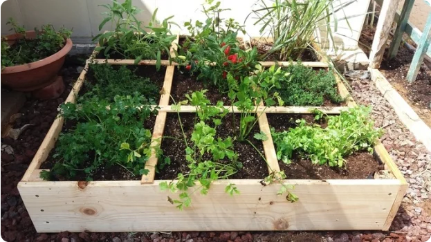 Introductory Square Foot Gardening Course  - Square Foot Gardening Foundation