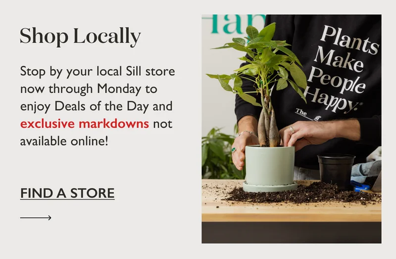 Shop Locally: Stop by your local Sill store now through Monday to shop Deals of the Day and exclusive markdowns not available online!
