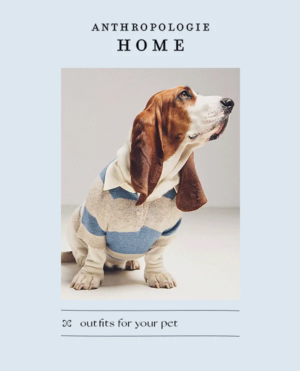 outfits for your pet