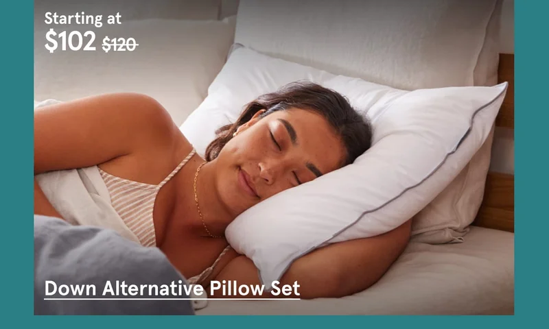 Down Alternative Pillow Set