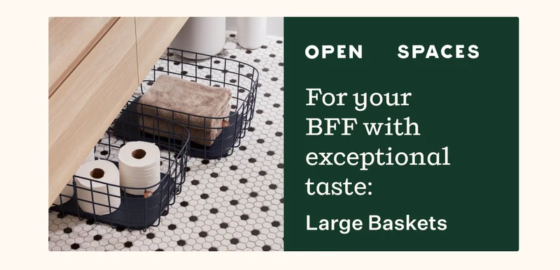 Open Spaces | For your BFF with exceptional taste: Large Baskets