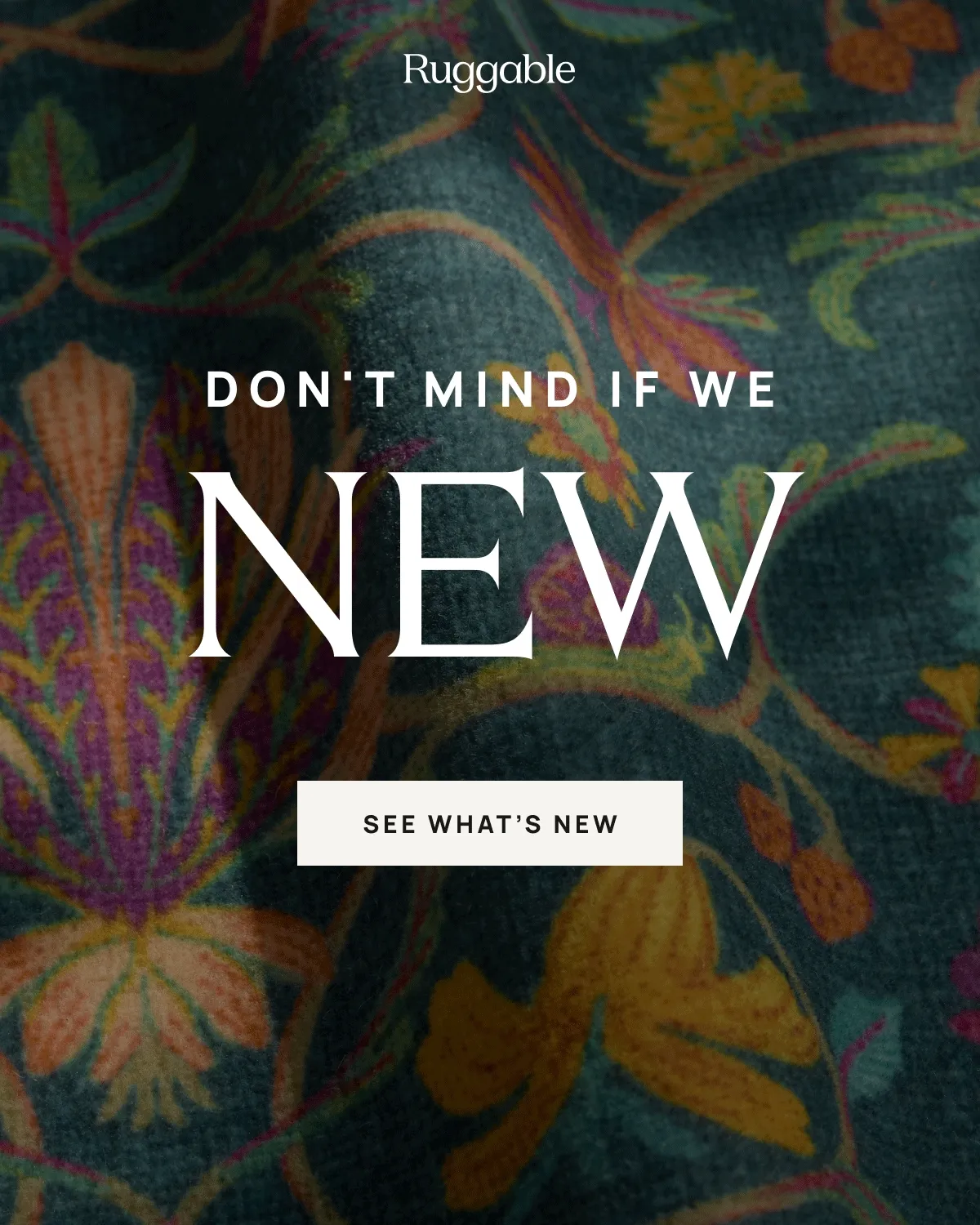 Shop Everything New