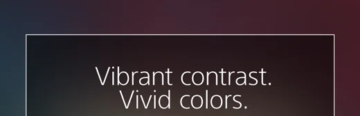 Vibrant contrast. Vivid colors.