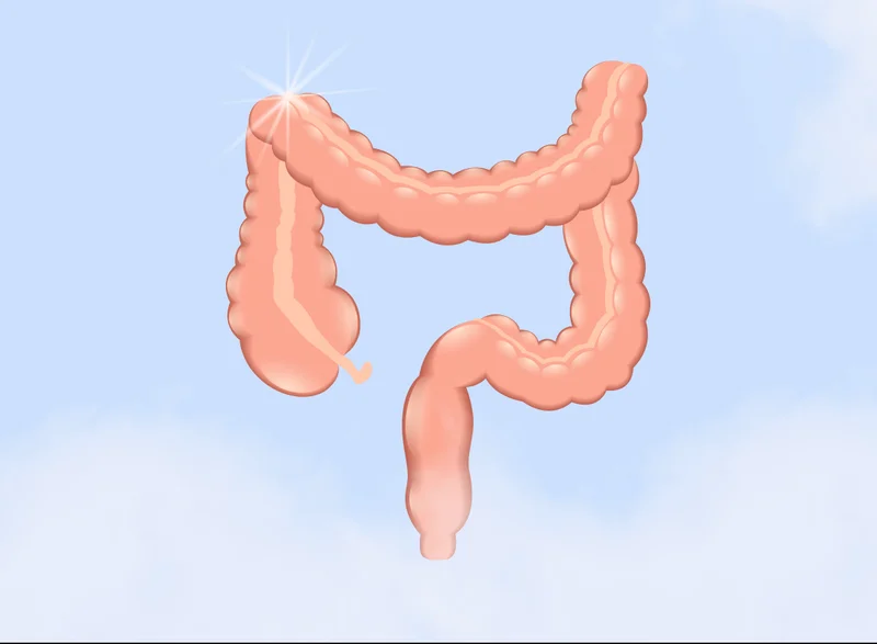 COLON