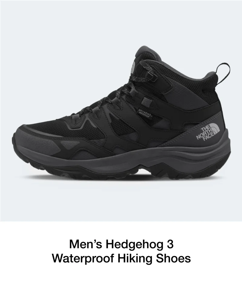 Men's Hedgehog 3 Waterproof Hiking Shoes