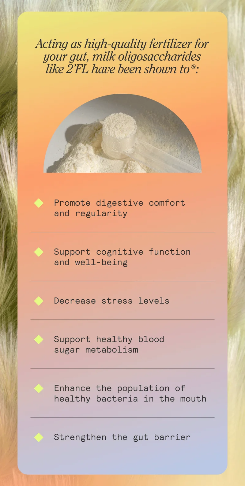 Acting as high-quality fertilizer for your gut, milk oligosaccharides like 2’FL have been shown to*:  - Promote digestive comfort and regularity - Support cognitive function and well-being - Decrease stress levels - Support healthy blood sugar metabolism - Enhance the population of healthy bacteria in the mouth - Strengthen the gut barrier