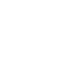 Twitter Icon