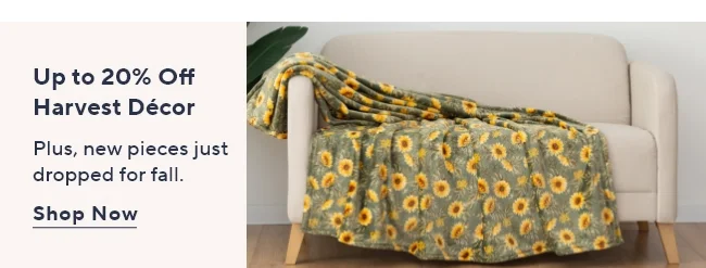 Fall Decor Sale