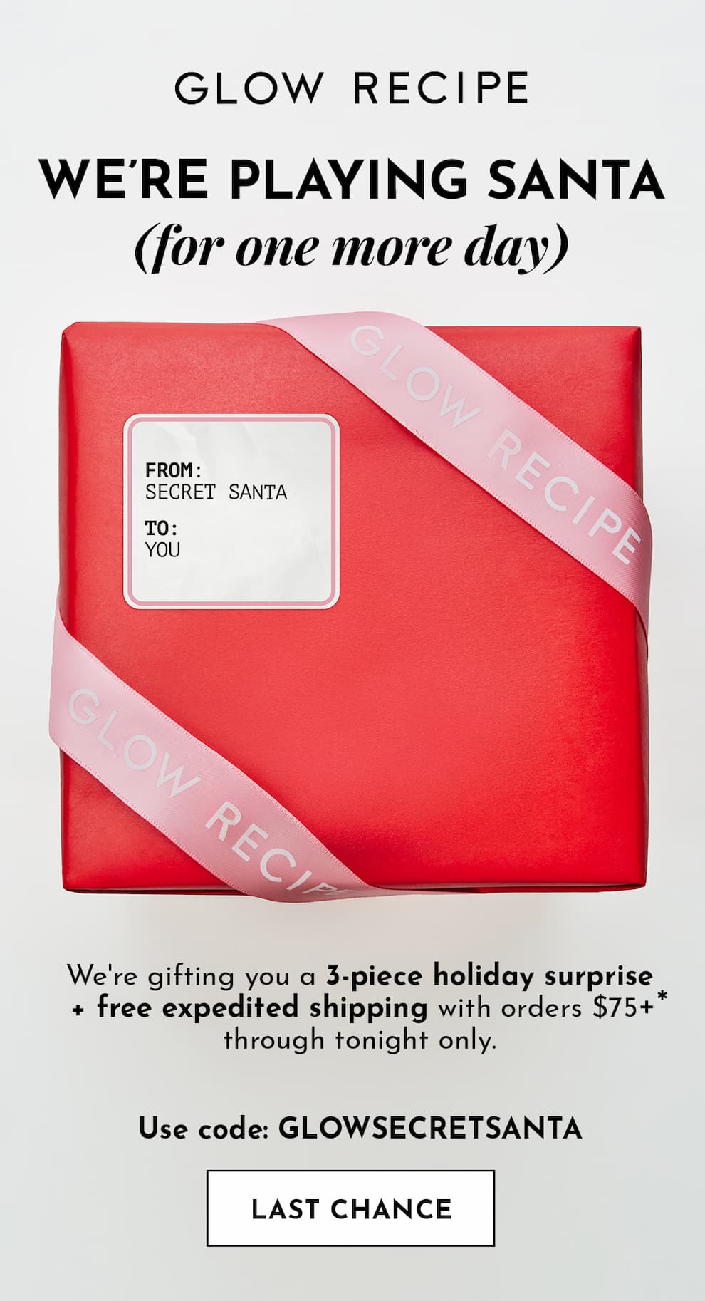 Secret Santa Gift + Free Expedited Shipping