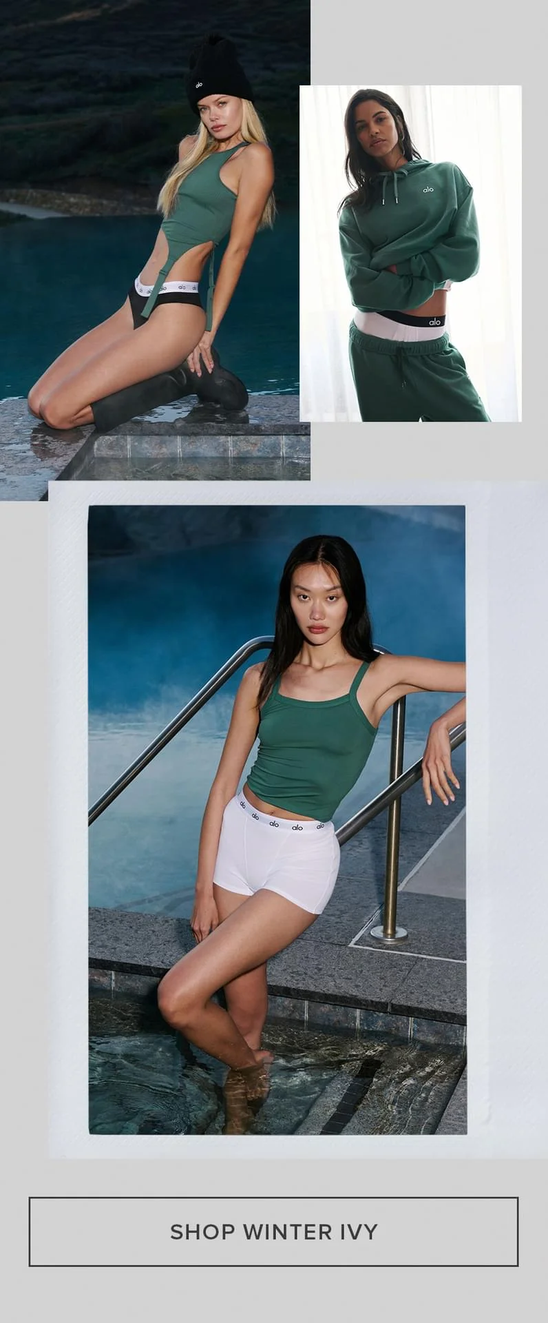 SHOP WINTER IVY