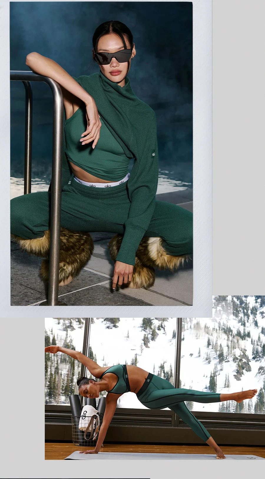 SHOP WINTER IVY