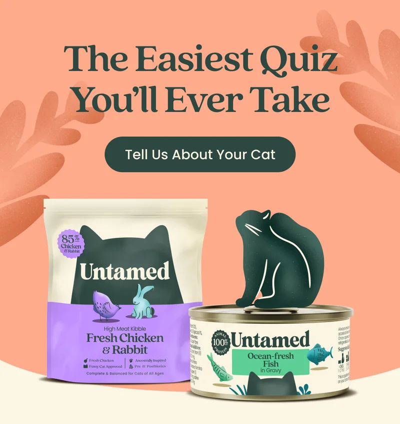 Tell Us About Your Cat