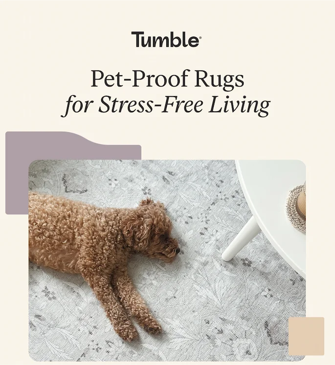 Pet-Proof Rugs for Stress-Free Living