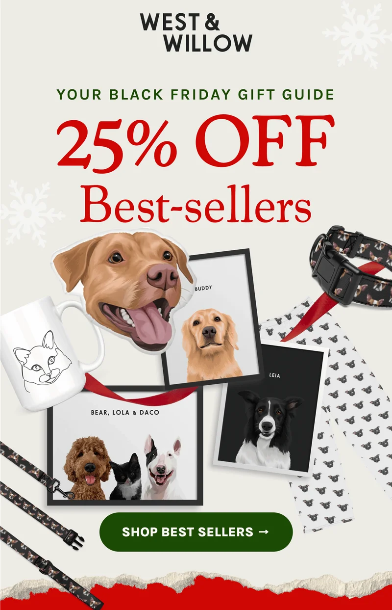 Shop Best Sellers