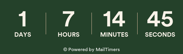 mailtimers.com