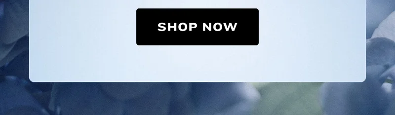 Shop Now: Hydrangea