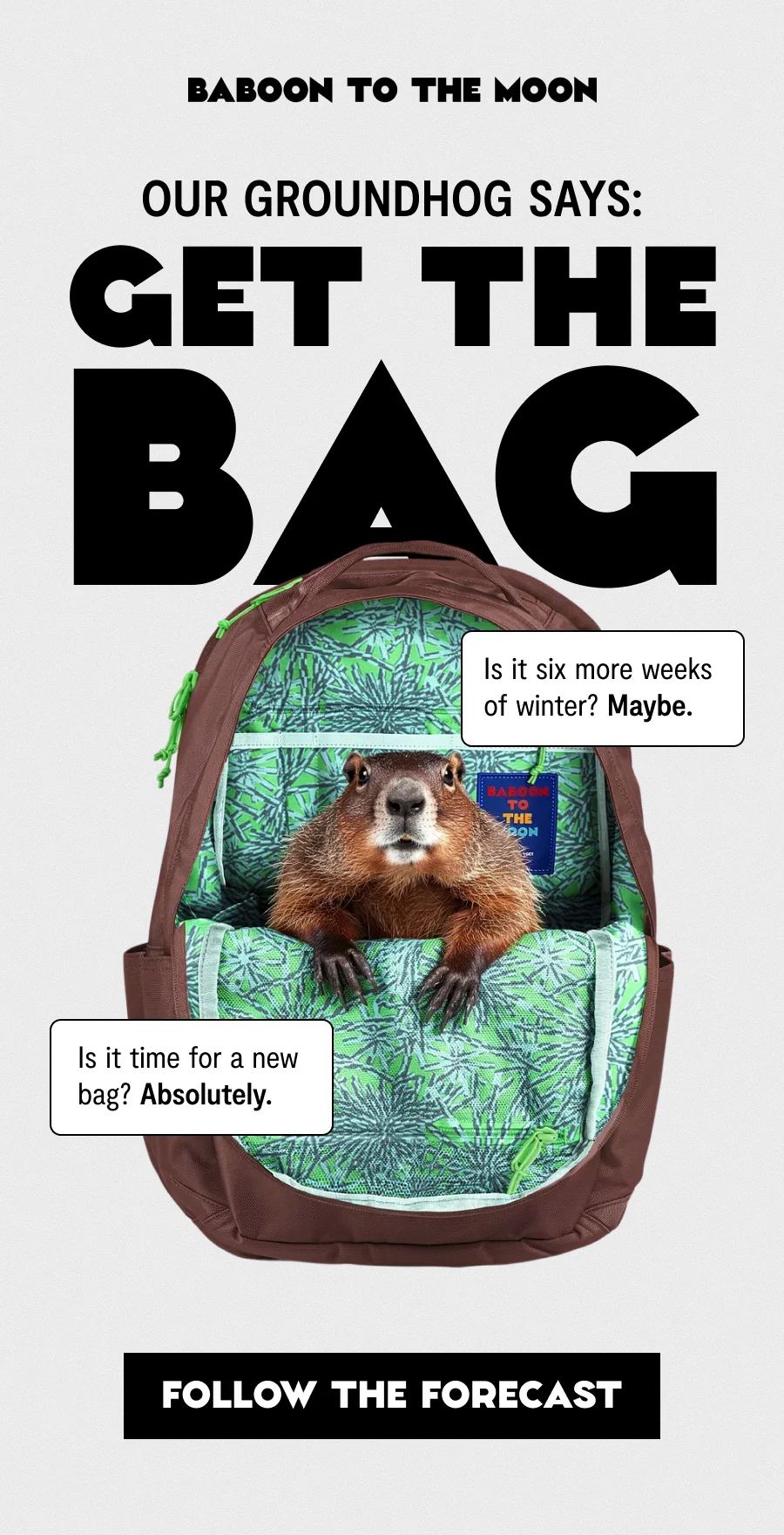 Groundhog Day