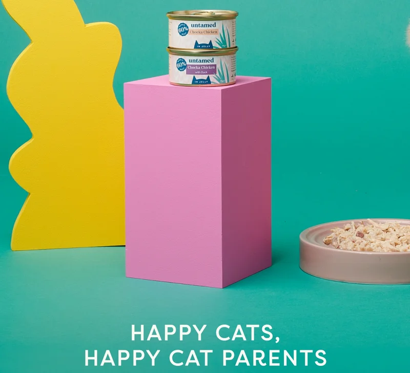 Happy cats, happy cat parents