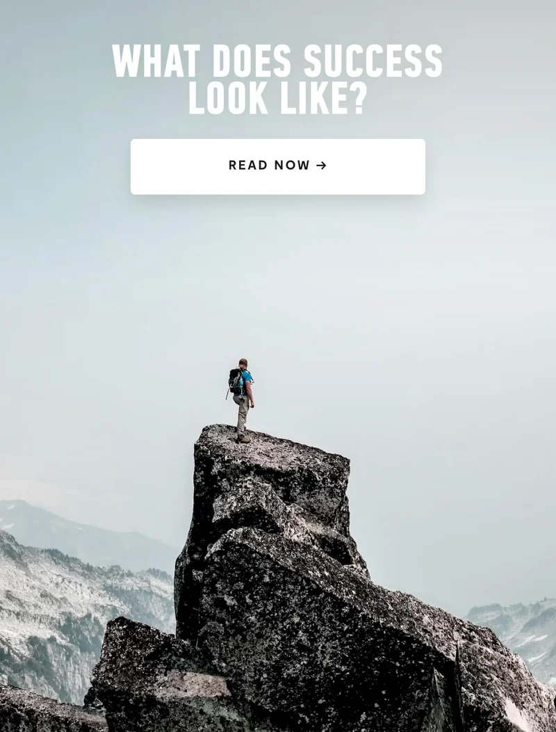 What does success look like?