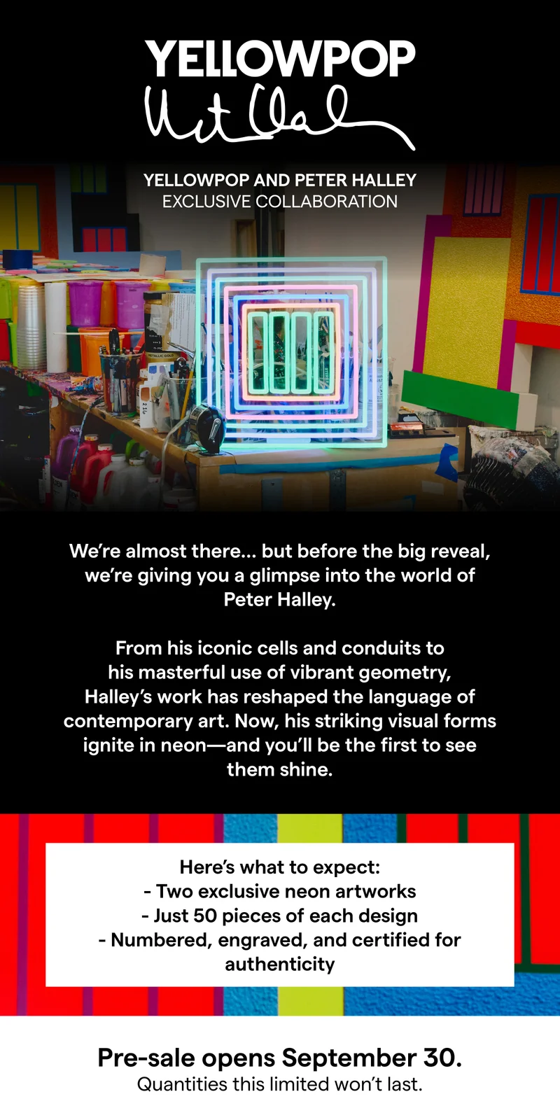 Peter Halley Coming Soon