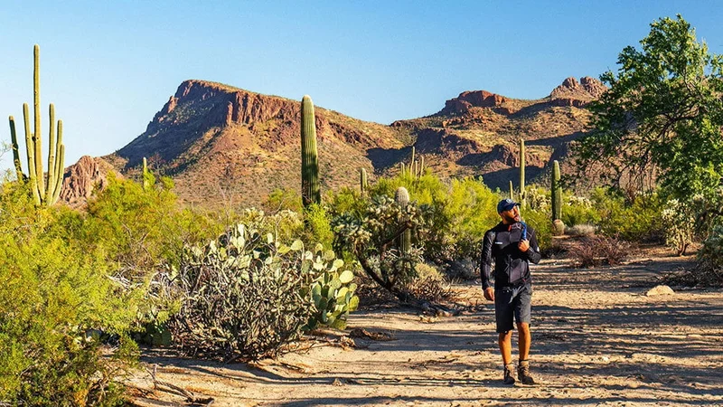 Image description: Man bird watching at park in Tucson, Arizona