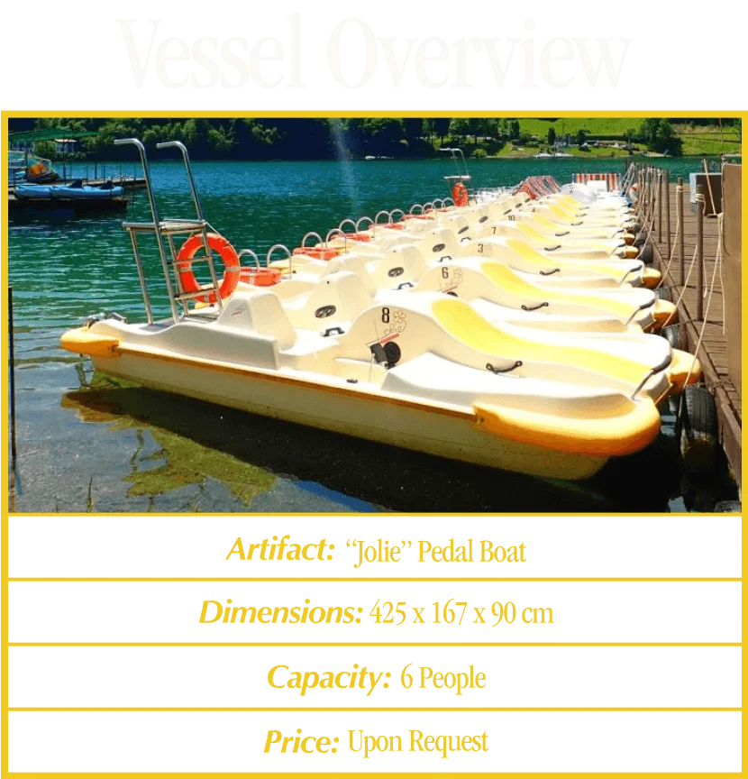 Vessel Overview