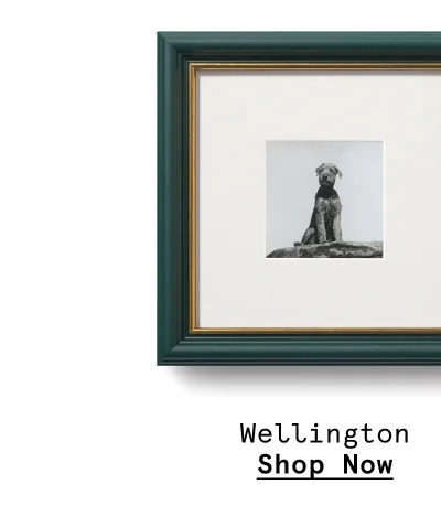 Wellington