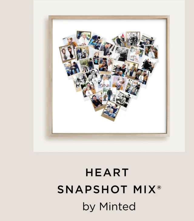 Heart Snapshot Mix®