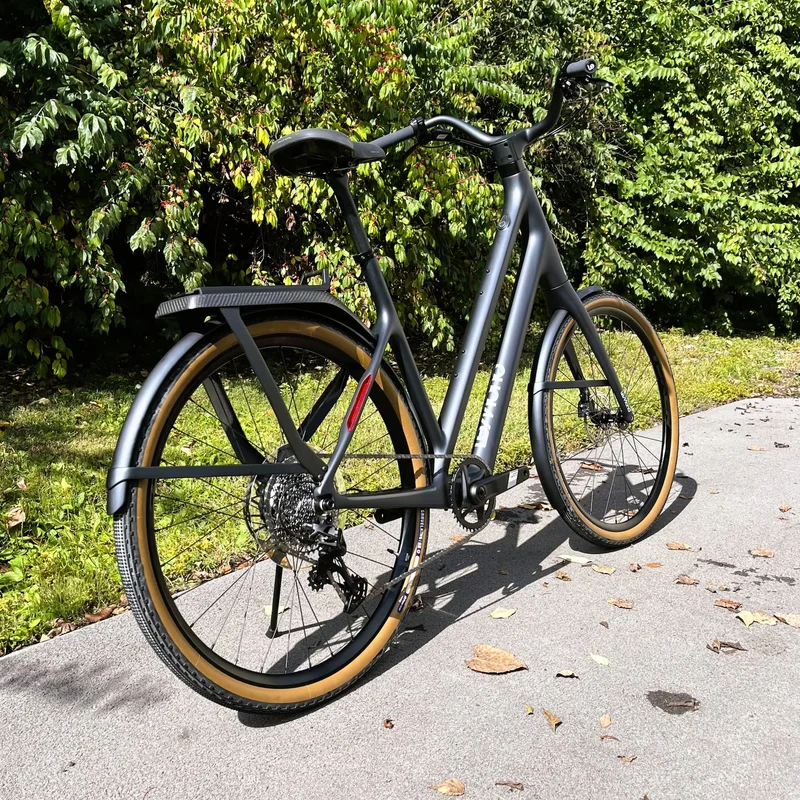 LeMond Carbon Fiber Rear Rack Installed on Dutch ebike