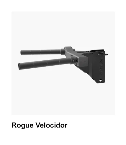 Rogue Velocidor