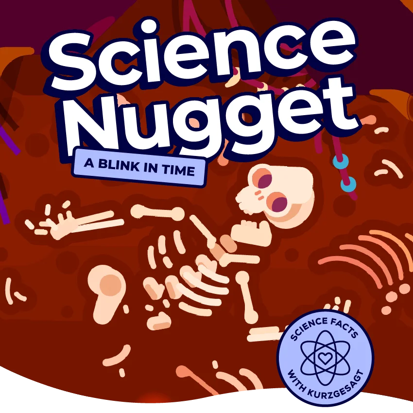 Science Nugget, A Blink in Time