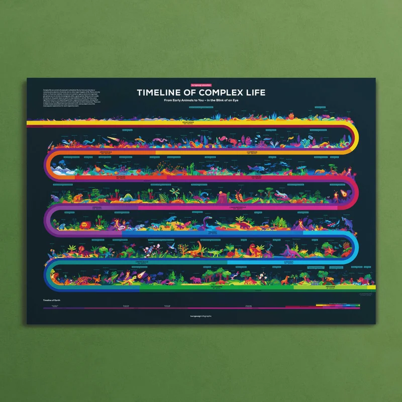 Image of Timeline of Complex Life Poster