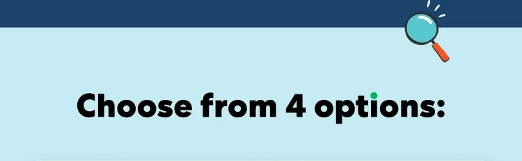 Choose from 4 options: